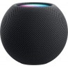 Homepod Mini Space Gray