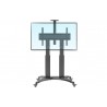 Large Telescopic Height Adjustable Professional TV Trolley Stand